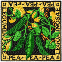 Peas Embroidery Design 12 Peas Embroidery Design 12